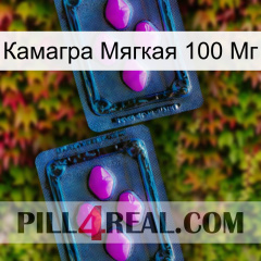 Камагра Мягкая 100 Мг 03